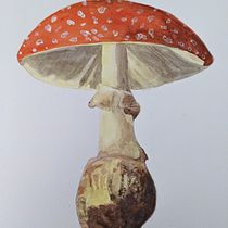 My project for course: ‌Illustration of Natural Elements in Watercolor. Un progetto di Illustrazione tradizionale, Pittura ad acquerello e Illustrazione naturalistica di anja177 - 19.06.2022