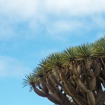 Mi proyecto del curso: Fotografía de viajes y lifestyle. Een project van Fotografie, Buitenfotografie, Lifest y le fotografie van Alex Robles - 19.06.2022