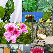 Il mio progetto del corso: Design di spazi verdi per la tua casa. L, scape Architecture, Floral, Plant Design, Spatial Design, and Design project by merygio91 - 06.20.2022
