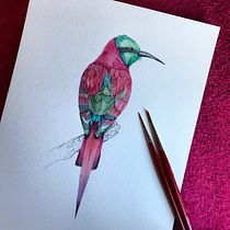 My project for course: Naturalist Bird Illustration with Watercolors. Ilustração tradicional, Pintura em aquarela, Desenho realista e Ilustração naturalista projeto de teamairedale - 21.06.2022