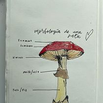 Mi proyecto del curso: Cuaderno botánico en acuarela. Projekt z dziedziny Trad, c, jna ilustracja, Malowanie akwarelą, R, sunek botaniczn i Sketchbook użytkownika Paulina Posada Vega - 21.06.2022