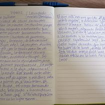 Mi proyecto del curso: Gimnasio de escritura: de la hoja en blanco a la práctica cotidiana Ein Projekt aus dem Bereich Schrift, Kreativität, Stor, telling, Erzählung und Kreatives Schreiben von Vionetty Delzo Muñoz - 22.06.2022