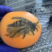 Mój projekt z kursu: Tatuaż dla początkujących. Tattoo Design project by jaroslaw_surowski - 06.23.2022