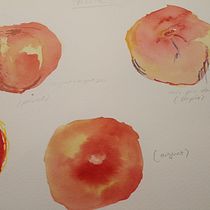 Mi proyecto del curso: Naturaleza ilustrada: una exploración creativa. Un projet de Illustration traditionnelle, Peinture, Dessin, Aquarelle, Illustration à l'encre et Illustration naturaliste de jaume_ribot - 25.06.2022