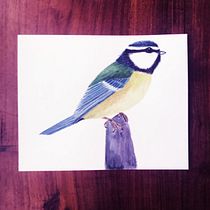 My project for course: Naturalist Bird Illustration with Watercolors. Ilustração tradicional, Pintura em aquarela, Desenho realista e Ilustração naturalista projeto de Ana PT - 25.06.2022