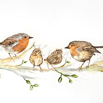 My project for course: Artistic Watercolor Techniques for Illustrating Birds. Traditional illustration, Watercolor Painting, Realistic Drawing, and Naturalistic Illustration project by leannkucerikart - 06.27.2022