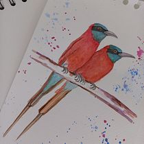 Mi proyecto del curso: Acuarela artística para ilustración de aves. Traditional illustration, Watercolor Painting, Realistic Drawing, and Naturalistic Illustration project by cmarceh_art - 06.27.2022