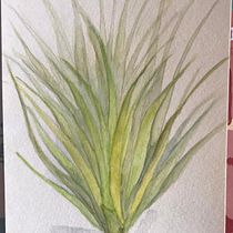 My project for course: Botanical Sketchbooking: A Meditative Approach. Ilustração tradicional, Esboçado, Desenho, Pintura em aquarela, Ilustração botânica, e Sketchbook projeto de kinuyo.yoshinari - 28.06.2022