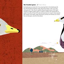 My project for course: Wildlife Illustration for Children's Books. Un progetto di Illustrazione vettoriale, Illustrazione digitale e Illustrazione infantile di Jiiva - 28.06.2022