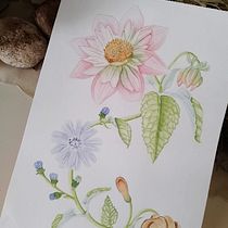 Il mio progetto del corso: Acquerello realistico per composizioni botaniche. Un projet de Illustration traditionnelle, Peinture, Dessin, Aquarelle et Illustration botanique de Daniela Zaccheddu - 02.07.2022