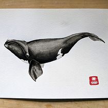 My project for course: Naturalist Illustration Techniques: Whales in Watercolor. Un progetto di Illustrazione tradizionale, Design di poster , Illustrazione digitale e Manga di astridcoxon - 03.07.2022