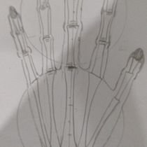Mi proyecto del curso: Dibujo anatómico para principiantes. Fine Arts, Sketching, Pencil Drawing, Drawing, Realistic Drawing, and Figure Drawing project by Laura Rodríguez - 07.04.2022