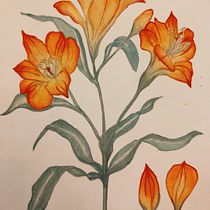 My project for course: Botanical Watercolor: Illustrate the Anatomy of Flowers. Un progetto di Illustrazione tradizionale, Belle arti, Pittura, Disegno, Pittura ad acquerello e Illustrazione botanica di Tássia Klt - 03.07.2022