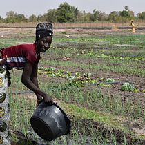 Mi proyecto del curso: Mujeres agricultoras de Casamance (Senegal). Photograph, Photograph, Post-production, Outdoor Photograph, Documentar, and Photograph project by comunicacion_recasens - 07.09.2022