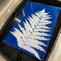 My project for course: Cyanotype: Printing with Light. Un projet de Artisanat, Beaux Arts, Estampe, DIY , et Photographie argentique de ruthmaude - 06.07.2022
