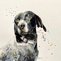 My project for course: Expressive Animal Portraits in Watercolor. Traditional illustration, Watercolor Painting, Realistic Drawing, and Naturalistic Illustration project by kackelabacken35 - 07.10.2022
