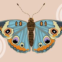 My project for course: Digital Illustration Techniques to Boost Your Style. Drawing, Digital Illustration, and Digital Drawing project by Renée Alcala - 07.06.2022