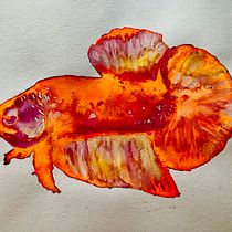 Mein Kursprojekt: Experimentelle Aquarelltechniken für Anfänger. Un progetto di Illustrazione tradizionale, Belle arti, Pittura ad acquerello e Illustrazione naturalistica di pranter - 11.07.2022