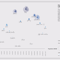 My project for course: Data Visualization and Information Design: Create a Visual Model. Un proyecto de Diseño de la información, Diseño interactivo e Infografía de Iva Nekic - 11.07.2022