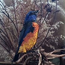 Mi proyecto del curso: Técnicas avanzadas de papercraft: diseñando con papel. Un progetto di Design, Artigianato, Scultura e Papercraft di Valeria Machado - 09.07.2022