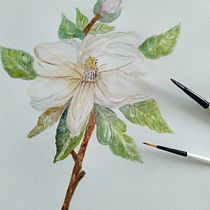 Mi proyecto del curso: Ilustración botánica con acuarela. Traditional illustration, Fine Arts, Painting, Drawing, Watercolor Painting, and Botanical Illustration project by paloma_vilches - 07.12.2022
