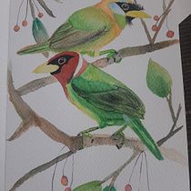 Mi proyecto del curso: Creación de paletas de color con acuarela. Un progetto di Illustrazione tradizionale, Belle arti, Pittura, Pittura ad acquerello e Teoria del colore di Marisol Rojas - 11.07.2022