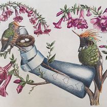 Viaje de un colibrí hacia la libertad. Traditional illustration, Drawing, Realistic Drawing, and Naturalistic Illustration project by Germano Ruggeri - 07.13.2022