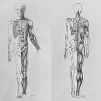 My project for course: Anatomical Drawing of Limbs, Hands and Feet. Un proyecto de Bellas Artes, Bocetado, Dibujo a lápiz, Dibujo, Dibujo de Retrato, Dibujo realista, Dibujo artístico, Sketchbook, Dibujo anatómico e Ilustración con tinta de Anna-Maria Säntti - 13.07.2022