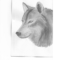Mi proyecto del curso: Técnicas experimentales de acuarela para principiantes. Un progetto di Illustrazione tradizionale, Belle arti, Pittura ad acquerello e Illustrazione naturalistica di melainot - 13.07.2022