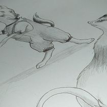 Meu projeto do curso: Ilustração dinâmica de animais para histórias infantis. Character Design, Pencil Drawing, Drawing, and Children's Illustration project by Suelen Ramalho - 07.14.2022