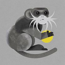 My project for course: Wildlife Illustration for Children's Books. Un progetto di Illustrazione vettoriale, Illustrazione digitale e Illustrazione infantile di Wojtek S - 14.07.2022