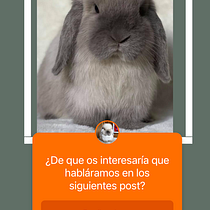 Mi proyecto del curso: Elconejonet. Un projet de Réseaux sociaux, Photographie smartphone, Marketing digital, Photographie numérique, Marketing mobile, Instagram, Marketing de contenu, Photographie pour Instagram, Marketing pour Instagram, Photographie lifest , et le de Ruth San Segundo - 14.07.2022