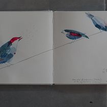 Mon projet du cours : Croquis créatifs à l'aquarelle pour débutants. Traditional illustration, Sketching, Creativit, Drawing, Watercolor Painting, and Sketchbook project by Patricia PICCO - 07.15.2022