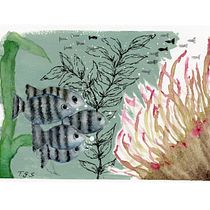 Mi proyecto del curso: Ilustración de universos marinos en acuarela. Un projet de Illustration traditionnelle, Peinture, Aquarelle et Illustration naturaliste de Tamara - 16.07.2022