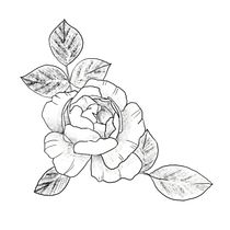 Mój projekt z kursu: Tatuaż dla początkujących. Tattoo Design project by Konstancja Klimkiewicz - 07.17.2022