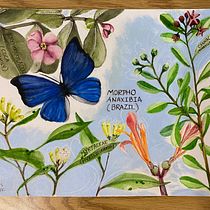 My project for course: Naturalist Journaling with Watercolor. Traditional illustration, Watercolor Painting, Botanical Illustration, Sketchbook, and Naturalistic Illustration project by jen_776532 - 07.17.2022