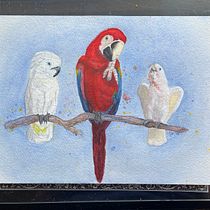 My project for course: Artistic Watercolor Techniques for Illustrating Birds. Traditional illustration, Watercolor Painting, Realistic Drawing, and Naturalistic Illustration project by Tari Voydanoff - 07.18.2022