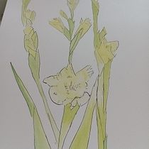 My project for course: Illustrating Nature with Watercolor and Pen. Fine Arts, Painting, Drawing, Watercolor Painting, and Botanical Illustration project by Judy James - 07.18.2022