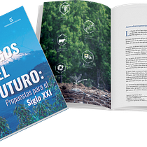 Libros Los Lagos. Un progetto di Design, Design editoriale, Graphic design e Tipografia di paolabravo.araneda - 18.07.2022