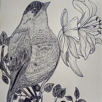 Mi proyecto del curso: Ilustración naturalista con bolígrafo. Traditional illustration, Drawing, Realistic Drawing, and Naturalistic Illustration project by cathe3007 - 07.18.2022