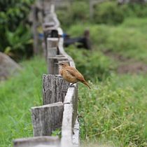 Meu projeto do curso: Fotografia de paisagem e natureza. Photograph, Outdoor Photograph, Instagram Photograph, Documentar, Photograph, and Photographic Composition project by Walter Santos - 04.15.2023
