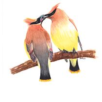 Mi proyecto del curso: Ilustración naturalista de aves con acuarela. Ilustração tradicional, Pintura em aquarela, Desenho realista e Ilustração naturalista projeto de Sandra Martinez - 20.07.2022