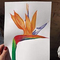 Mi proyecto del curso: Acuarela botánica: ilustra la anatomía de las flores. Un progetto di Illustrazione tradizionale, Belle arti, Pittura, Disegno, Pittura ad acquerello e Illustrazione botanica di Camila Navarro Farias - 15.07.2022