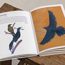Mi proyecto del curso: Ilustración de fauna salvaje para libros infantiles. Un progetto di Illustrazione vettoriale, Illustrazione digitale e Illustrazione infantile di David Hurtado - 20.07.2022