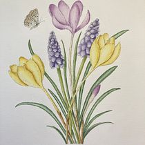 My project for course: Illustrating Nature with Watercolor and Pen. Traditional illustration, Fine Arts, Painting, Drawing, Watercolor Painting, and Botanical Illustration project by Katia Galante - 07.20.2022