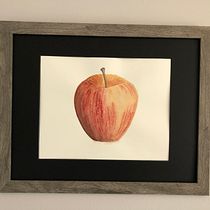 My project for course: Botanical Watercolor: Illustrating Art and Science. Un progetto di Illustrazione tradizionale, Belle arti, Pittura, Disegno, Pittura ad acquerello e Illustrazione botanica di Ashley Oland - 19.07.2022