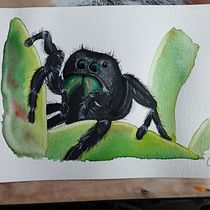 Mein Kursprojekt: Ausdrucksstarke Tierporträts in Aquarell . % Franziska Kröner tarafından hazırlanan Geleneksel illüstras, on, Sulubo, a Resim, Gerçekçi Çizim, Doğalcı İllüstras, Ve on projesi - 07.20.2022