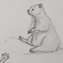 Mon projet du cours : Dessin d'animaux réalistes pour livres jeunesse. Character Design, Pencil Drawing, Drawing, and Children's Illustration project by Sophie Beaupré - 07.21.2022
