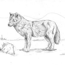 Meu projeto do curso: Ilustração dinâmica de animais para histórias infantis. Character Design, Pencil Drawing, Drawing, and Children's Illustration project by Celia Bastos Tachau Monteiro - 07.21.2022