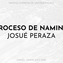 Naming: Tienda de Vaporizadores. Un projet de Publicité, Br, ing et identité, Conseil créatif, Gestion de la conception, Naming , et Design  de Daniel Araya - 22.07.2022